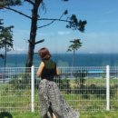 봄이꽃피다 이미지