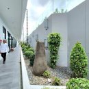 스카이 리버 이미지