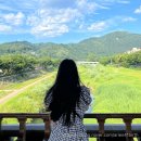 달곰김밥 - 창원시 마산회원구 석전남8길 40 | 여행 | 전주 당일치기 뚜벅이 여행 후기