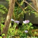 우정빌딩 이미지