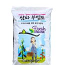 한농종묘사 이미지