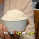 고봉밥 Daum카페