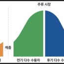 브랜딩팜 이미지