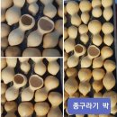 노랑국수 Daum카페
