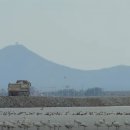 "수라 갯벌의 아름다움을 본 죄는 뜨거웠다" -기후위기를 극복할 새로운 법리(박병상 칼럼) 이미지