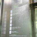 티바이오(주) | 63빌딩 워킹온더클라우드 리뉴얼 후 한강뷰 데이트 주말 런치 안티파스티바 (+여의도한강공원)