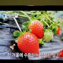 우후농장 이미지