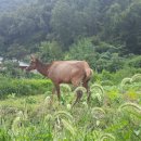 나주2농장 이미지