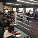 오비복싱 이미지