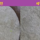 신광세탁 이미지