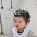 매지밀 딸기농장 이미지