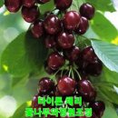 화성-향남-향남 8호 이미지