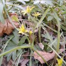 찬물내기 이미지