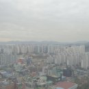 대흥행정사 이미지