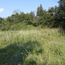 상예동-14 이미지