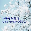 통영한바다 이미지