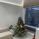 파인트리치과의원 | 베베데코 크리스마스 트리 만들기 feat. 다이소 오너먼트