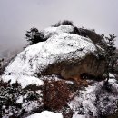 갓바위2농장 이미지