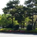 세개의 여유 이미지