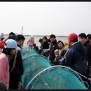 하전어촌체험마을 이미지