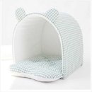 퍼피애견 이미지