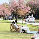 미사경정공원 이미지