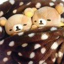 로또짱 네이버블로그