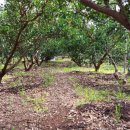 진표농장 이미지