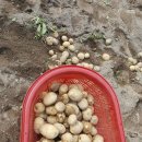 룩스글램핑앤팜 안동펜션 | 룩스글램핑앤팜 안동펜션 7월 2일 화요일