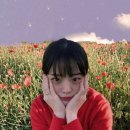 더 하우스 이미지