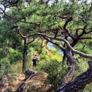 미선향테마파크 이미지