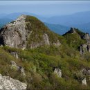 순천-32호 이미지