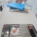 분당그린약국 | 홍대 사랑이아프니 윗 상악 사랑니 발치 후기 주의사항