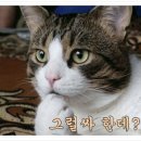 안성(부산) 이미지