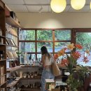 BART CENTER | [공지] 치앙마이 하나 _ 올드타운 (인운빌라, 냉무옹옵, 딥디바인더, 캄빌리지 선셋요가, 블루누들...