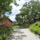 용문산자연휴양림 이미지