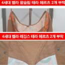 벨라테라