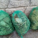 안양농장 이미지