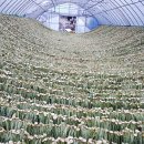 참 좋은 농장 이미지