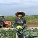 호남산업주식회사 이미지