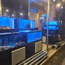 조개먹고돼지먹고 이미지