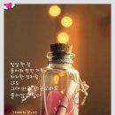 사랑빛안경 이미지