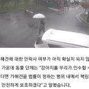 울산 초등생 개물림사고때 동물단체에서 한 말 이미지