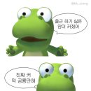 임신 17-18주 일상과 증상 공유, 텀스 제산제, 스파톤 애플 철분제, 멕시카나 고추화삭 후기