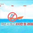 [KBS제주] 우리의 바다를 위하여 이미지