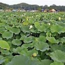 백화원 이미지