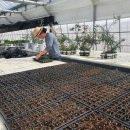 한빛 꽃농원 이미지