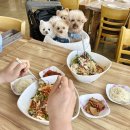 오이도해양공원 | 오이도 애견동반 식당 해상공원횟집, 오션뷰 물회 맛집 솔직후기