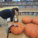 탐라세탁 이미지