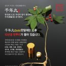 백초지왕
